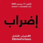 بالفيديو..النفيلي: انزلوا شاركوا صوتكم أمانة وبلدكم أمان