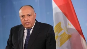 أول تعليق من مصر على استخدام أمريكا للفيتو لمنع وقف الحرب على غزة أول تعليق من مصر على استخدام أمريكا للفيتو لمنع وقف الحرب على غزة