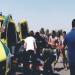 مشوار سيدة التوقعات ليلى عبد اللطيف