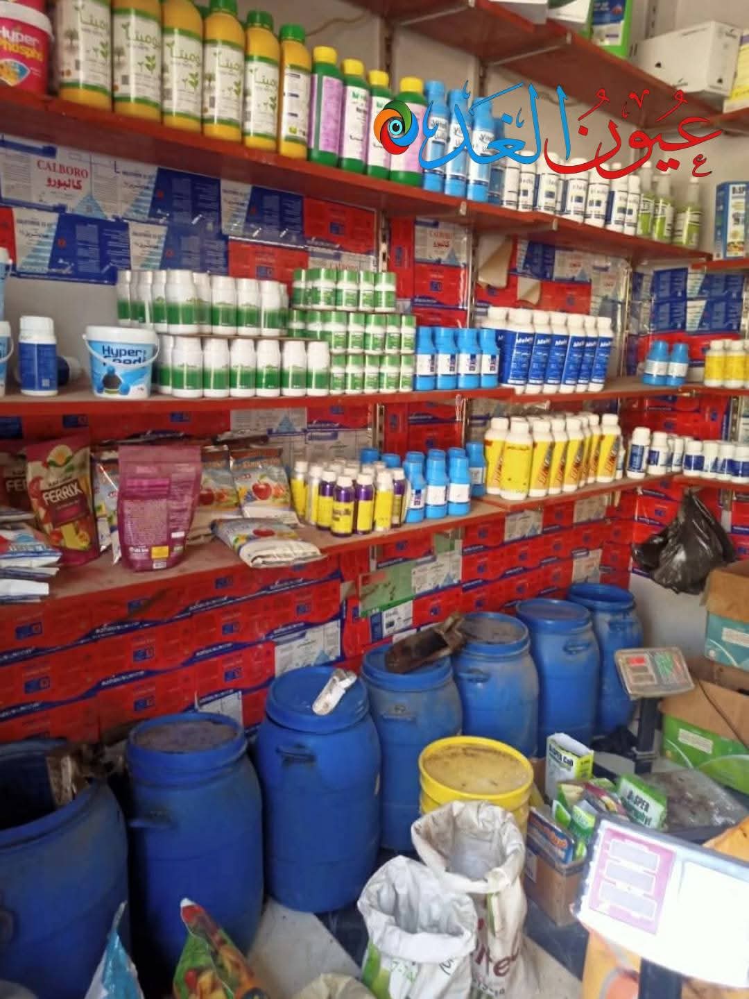 حملات رقابية في أسيوط تنتهي بإعدام 800 كيلوغرام من الأغذية الفاسدة حملات رقابية في أسيوط تنتهي بإعدام 800 كيلوغرام من الأغذية الفاسدة