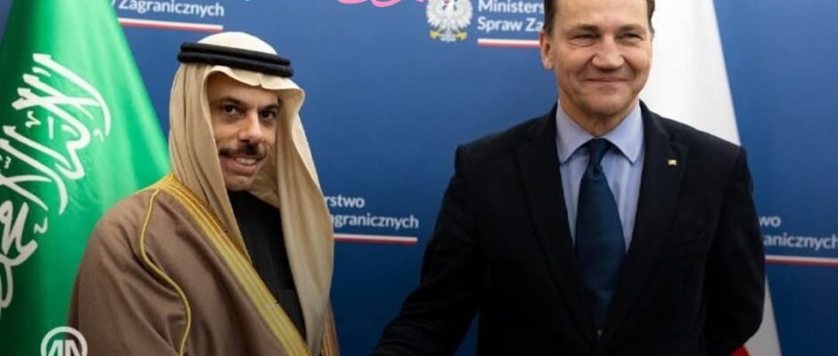 وزير خارجية السعودية يؤكد أهمية العلاقات مع الإمارات مع اختلاف الرؤى السياسة