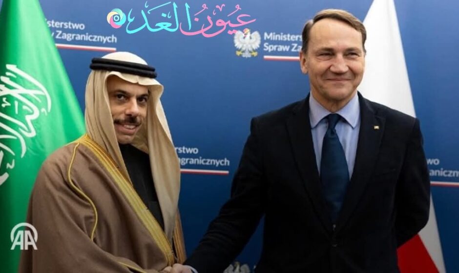 وزير خارجية السعودية يؤكد أهمية العلاقات مع الإمارات مع اختلاف الرؤى السياسة