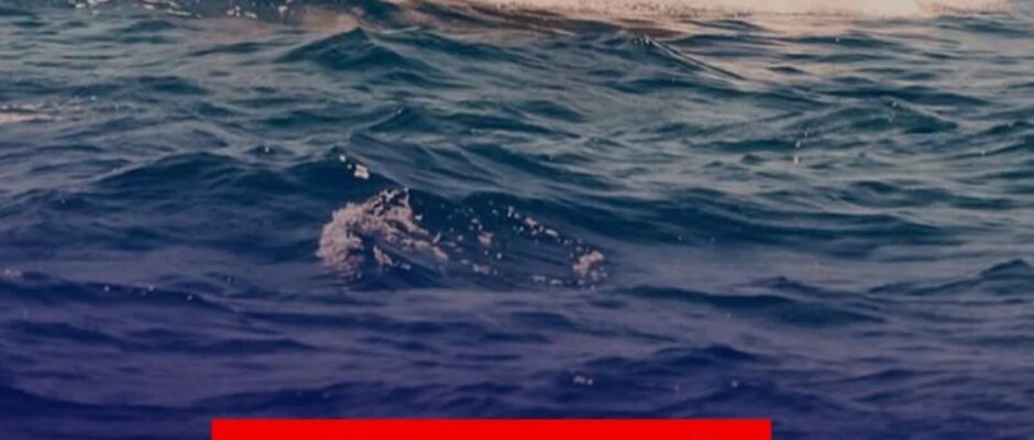 ضبط نحو 300 ألف دينار ليبي ثمنه ضحايا الهجره غير شرعيه قبالة سواحل ليبيا